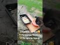 Сніданок котика🥰👉На перше-борщик👉На друге-гарнір #прикол #кіт #борщ #їжа #дім