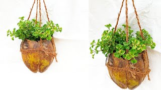 Coconut Pot | Natural Hanging Gardening Ideas | Hanging Garden | Home Gardening | Easy Gardening Tip