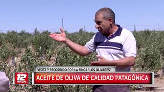 Finca Los Olivares cultivos patagónicos