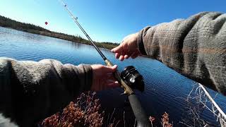 Zebco Omega Z03 And Vintage Zebco Rod. A Great Combo