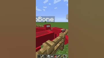 What if I breed a Dinnerbone and Jeb_ sheep? #shorts