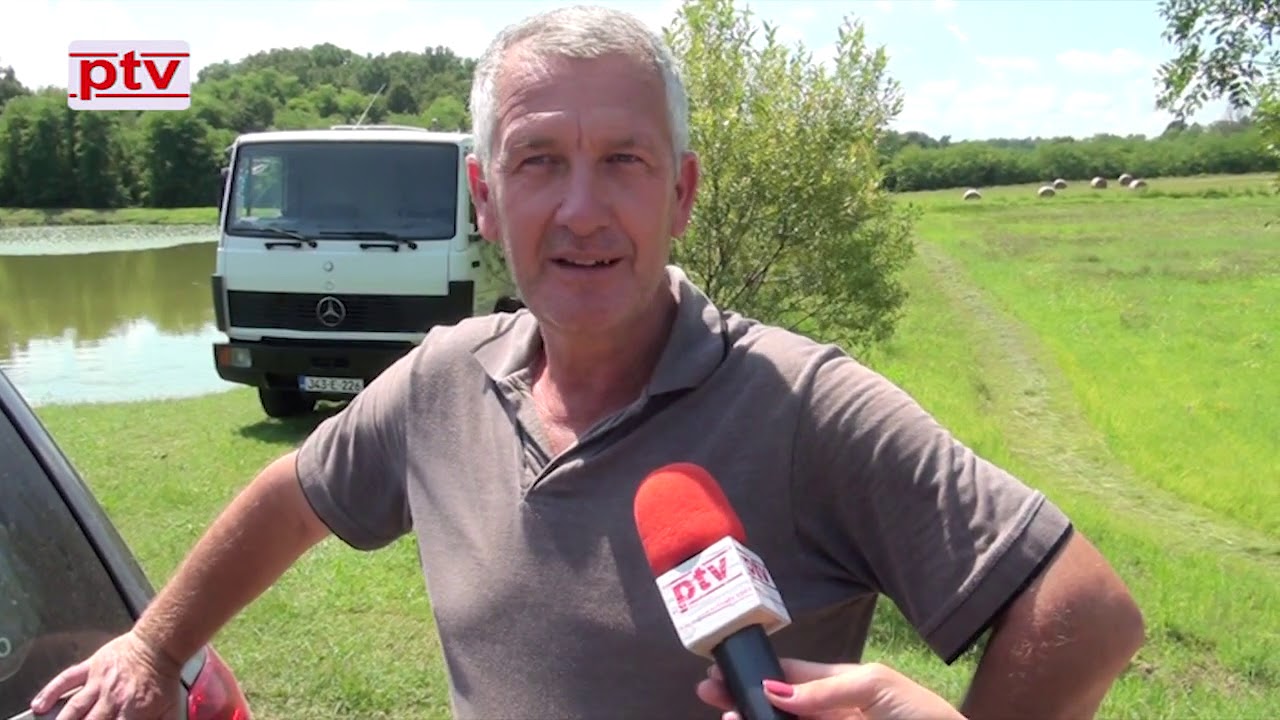 Uzgoj šaranske mlađi, Porebrice