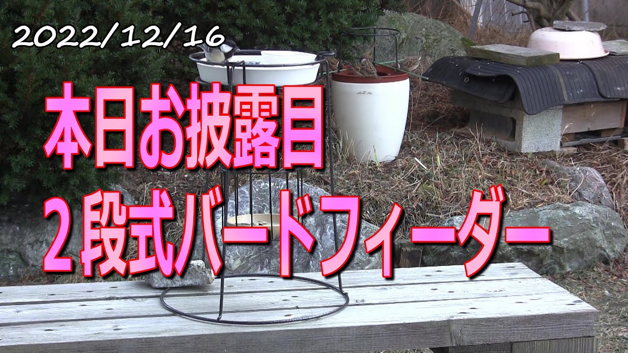 Two-stage bird feeder. Make bird watching easy with a homemade 