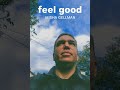 Misha Gellman FEEL GOOD mp3