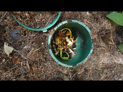 8 Common Soil Composting Mistakes (and How to Fix Them)