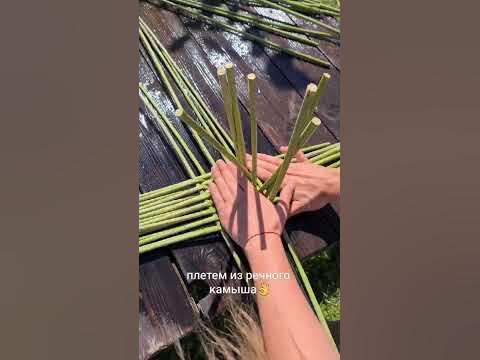 Плетение из речного камыша - YouTube