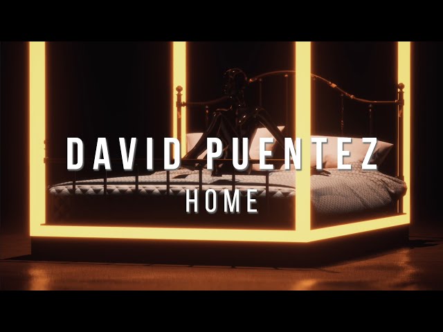 DAVID PUENTEZ - HOME