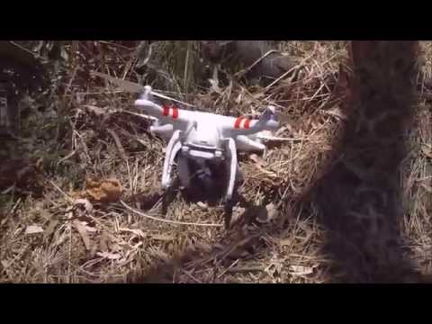 How To Get A Drone Out Of Tree Top.