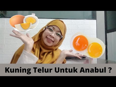 Video: Bolehkah anjing makan kuning telur yang telah dimasak?