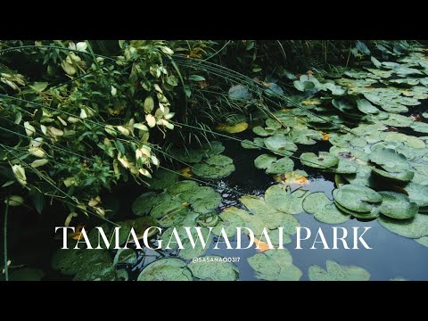 TAMAGAWADAI PARK / Rainy day in Tokyo / Fujifilm x-t30 / photography  (多摩川台公園)
