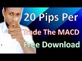 20 Pips Per Trade MACD Momentum Index | Free Download