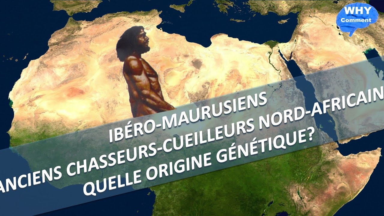 IBEROMAURUSIENS ANCIENS CHASSEURS CUEILLEURS DU MAGHREB QUELLE ORIGINE GÉNÉTIQUE?