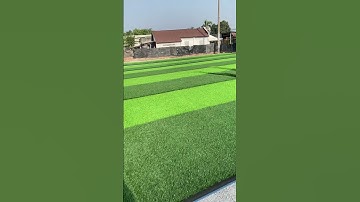 Hướng dẫn cắt đường line để ghép 2tấm cỏ lại với nhau #thicongconhantao #thicongsanconhantao