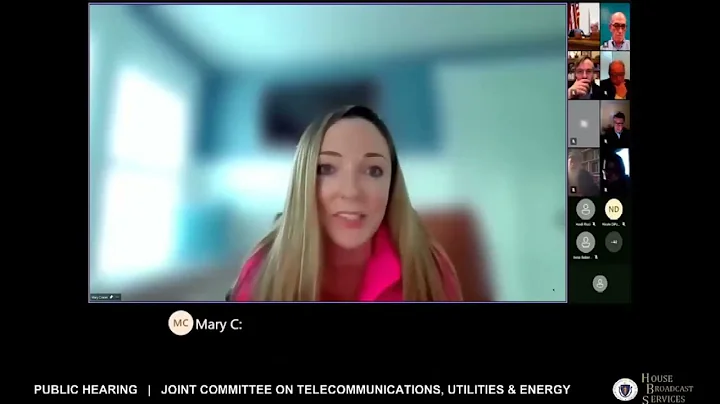 Mary Cronin Energy Hearing