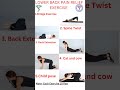 Lower back pain relief exercise physiotherapy exercise backpain backpainrelief backpainstretch