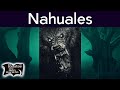 Nahuales, historias del auditorio | Relatos del lado oscuro