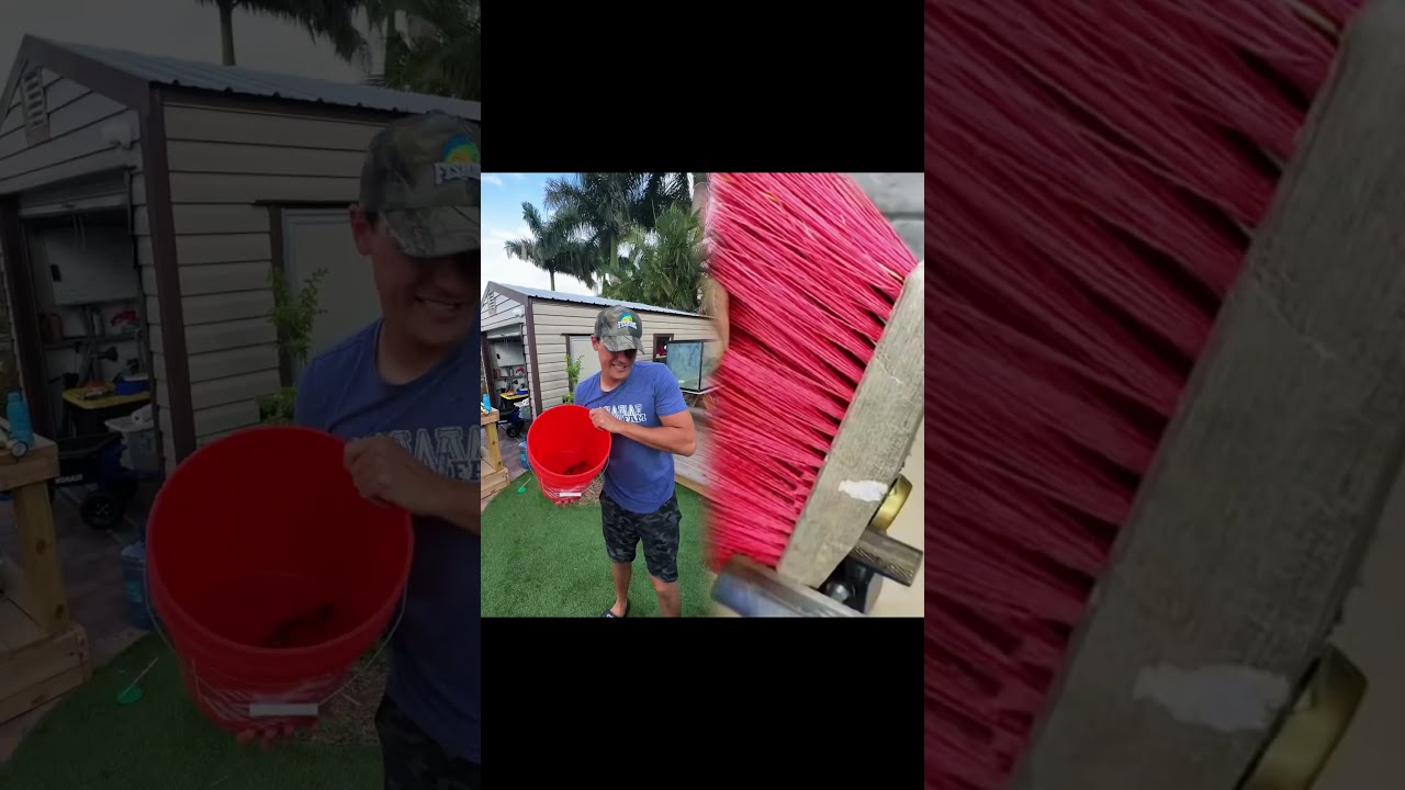 WHEN PLAYING WITH THE FISH GOES RIGHT