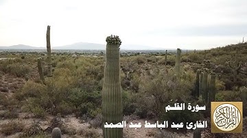 068 عبد الباسط عبد الصمد   سورة القلم