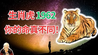 1962年的屬虎人，2024年下半年運勢，你真想不到！這是屬於你自己的運程，快看你的與眾不同！ #2024年生肖虎運程 #2024年屬虎人運勢 #2024年生肖虎運勢 #2024年屬虎人運程