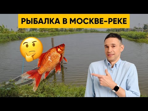 Опасно ли есть