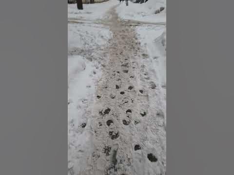 Уборка тротуаров от снега в Самаре,Куйбышевский район - YouTube