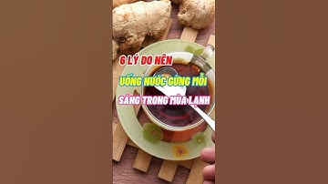 6 Lý Do Bạn Nên Uống Nước Gừng Mỗi Sáng Trong Mùa Lạnh #dsdaiminh #dinhduong #shorts #health