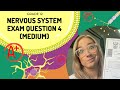 Nervous System Exam Quiz