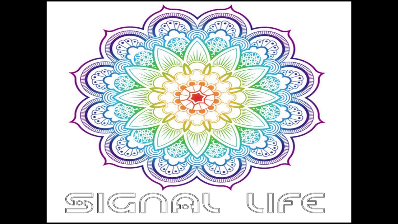 EVOLUTION..::..SIGNAL LIFE..::..VINYL SESSION..::..2020..::.. - YouTube