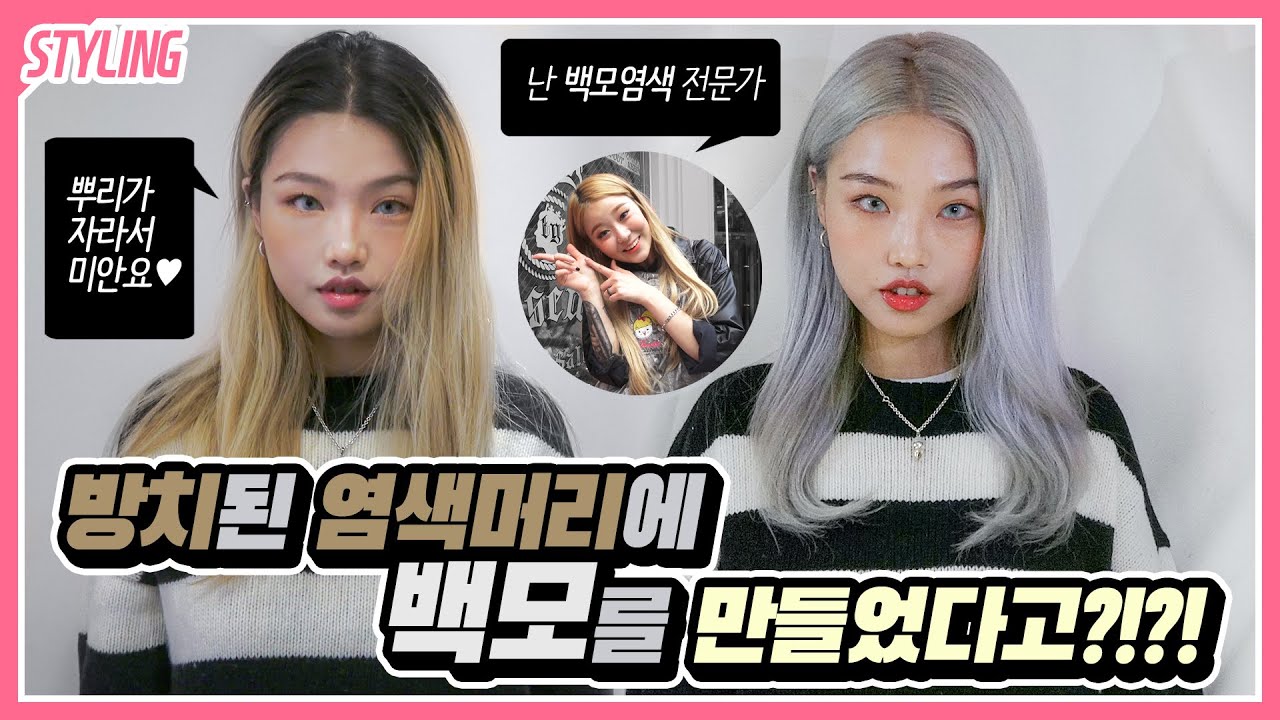 로레알 염색약으로 백모염색으로 변신하는 과정 풀공개!! (+바비,xoxosophia)