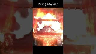 Killing a Spider #shorts