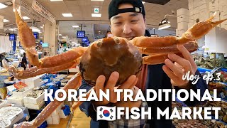 KOREA VLOG Ep. 3: Korean Fish Market in Seoul! Fresh Sashimi, Crab, Abalone, and more~