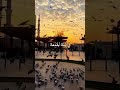 غدا يوم الجمعه ونحن اليوم في ليلة الجمعة يوم الجمعه اكثروا من الصلاة على نبينا محمد ليلة الجمعة
