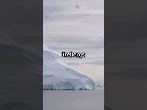 Incredible Facts About