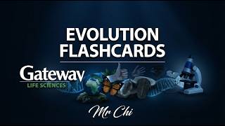 Evolution Flashcards