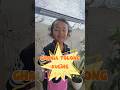GHANIA TOLONG ANAK KUCING