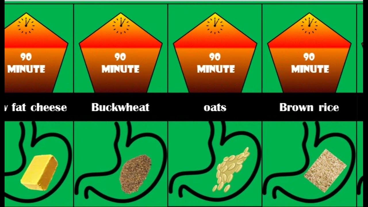 how-long-food-stay-in-your-stomach-food-digestive-time-food
