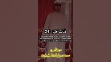 ولولا فضل الله عليكم ورحمته في الدنيا والآخرة | محمد عمران مقام نهاوند | سورة النور #مقام_النهاوند