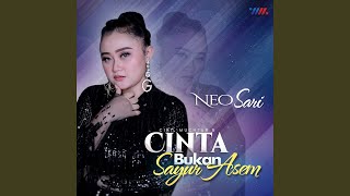 Cinta Bukan Sayur Asem