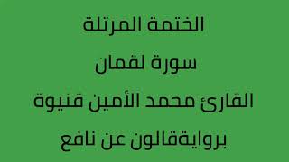 سورة لقمان القارئ محمد الأمين قنيوة برواية قالون عن نافع