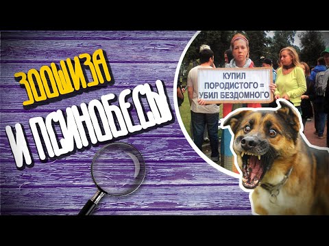 ЗООШИЗА И ПРОБЛЕМА БРОДЯЧИХ СОБАК