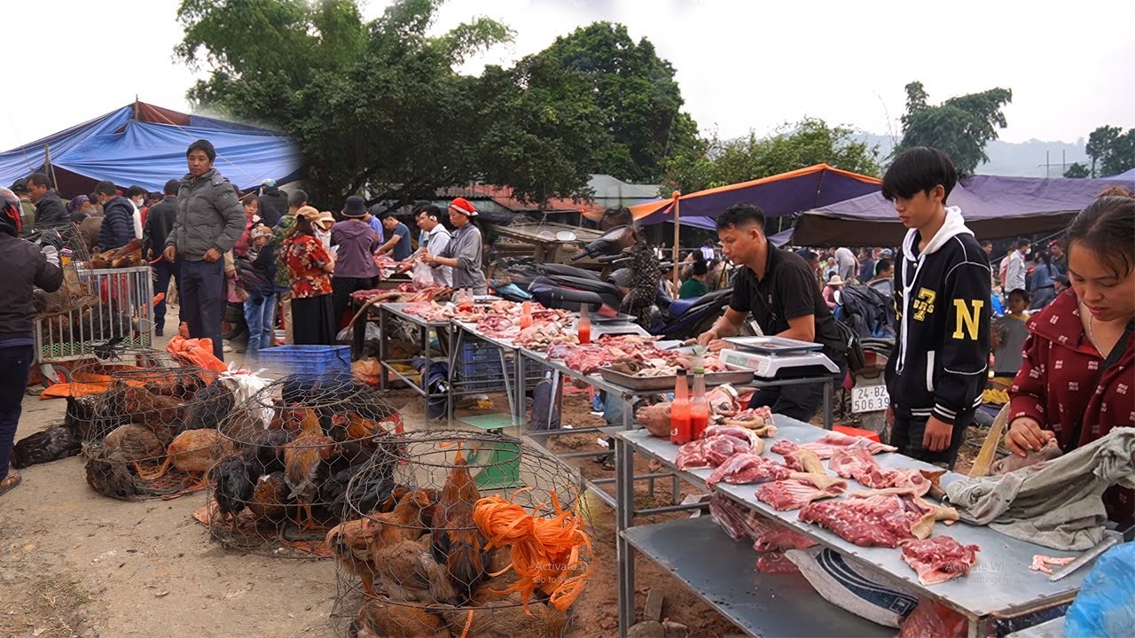 Khám Phá Chợ Phiên Tây Bắc Dịp Giáp Tết Cuối Năm 2025