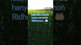 Download Lagu Yaaa Allah...hamba hanya memohon Ridhomu...🤲🏻 MP3