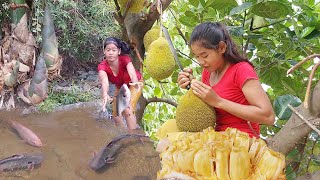 Catch fish and Pick natural ripe jackfruit for food - Adventure solo and survival in forest