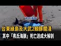 台東綠島及大武2鯨豚擱淺 其中"弗氏海豚"死亡送成大解剖-民視新聞