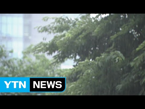 [날씨] 이번 주 내내 '가을장마'...후반엔 '태풍' 가능성 / YTN