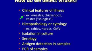 Course: Virology - Introduction to Virology and Viral Infections - video 2