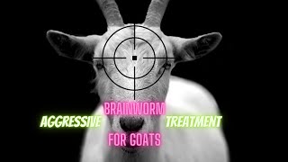Aggressively treating brain worm / deer worm in goats.