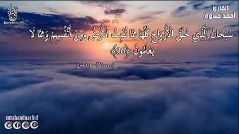 سورة يس كاملة القارئ احمد حلاوة