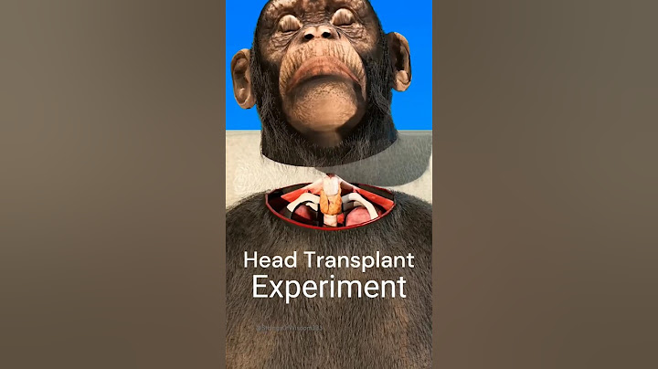 Monkey Head Transplant In 1970 🐒(Explained)