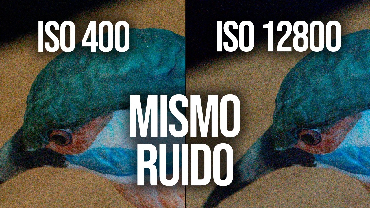 Dame 18 minutos y te enseño todo sobre el ruido en tu cámara